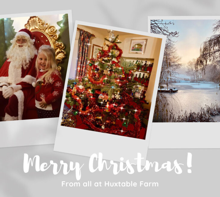 Happy Christmas from all at Huxtable Farm